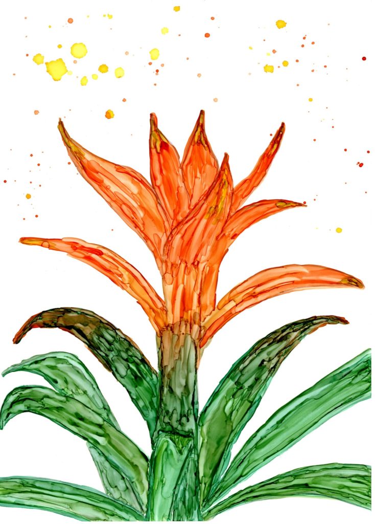 Alcohol Ink Art - Ode to the Bromeliad